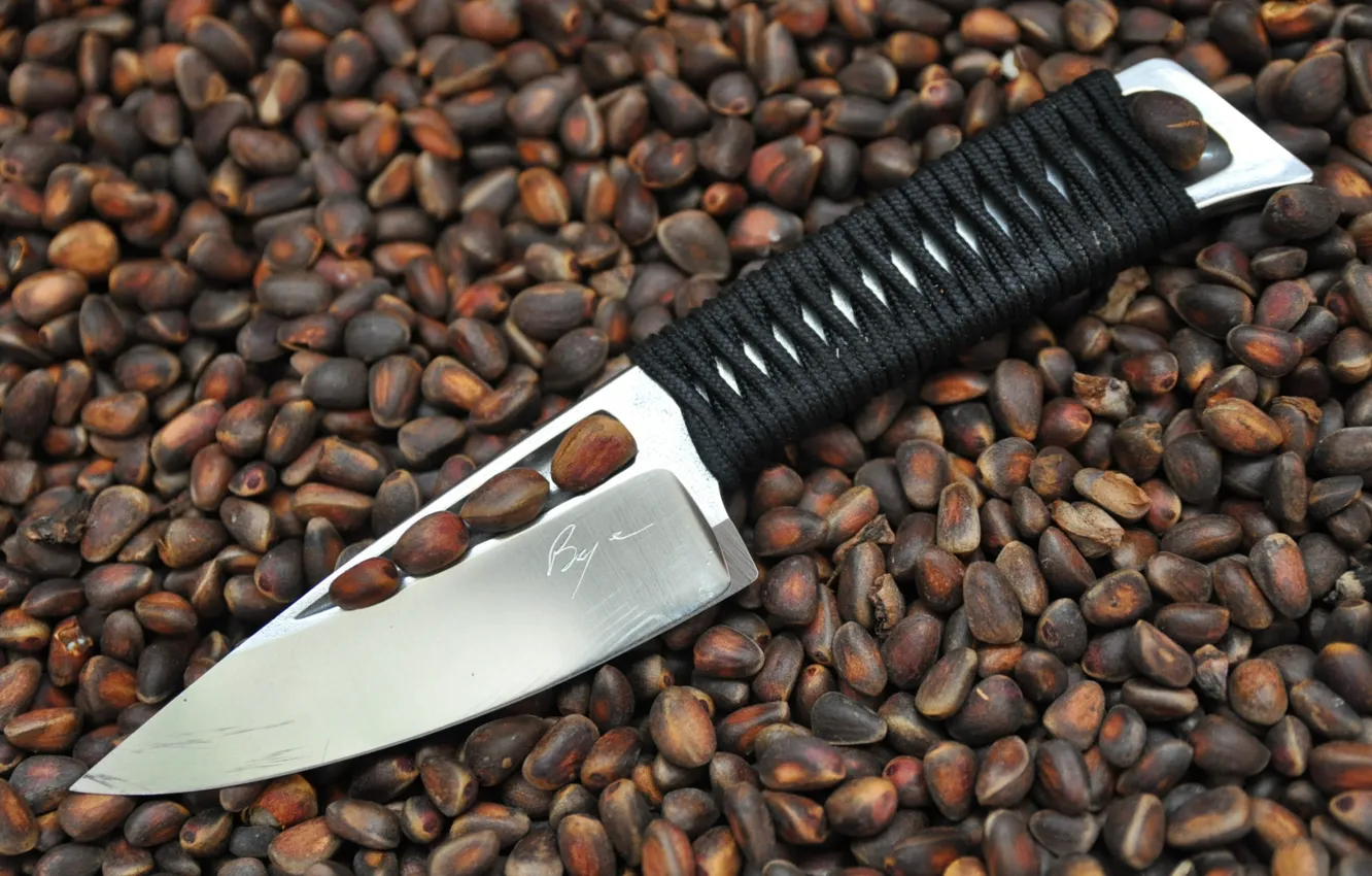 Photo wallpaper knife, nuts, cord, cedar, braid
