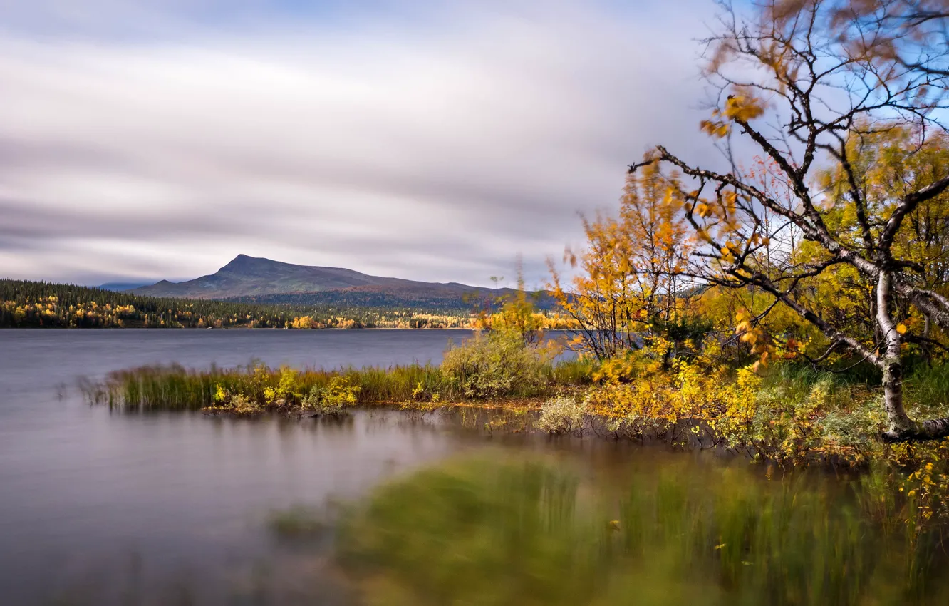 Photo wallpaper autumn, trees, mountains, lake, Sweden