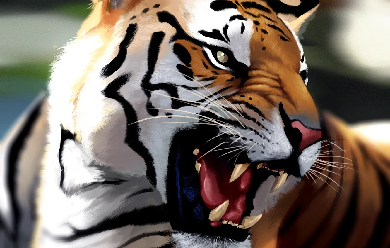 Photo wallpaper face, tiger, art, rage, grin