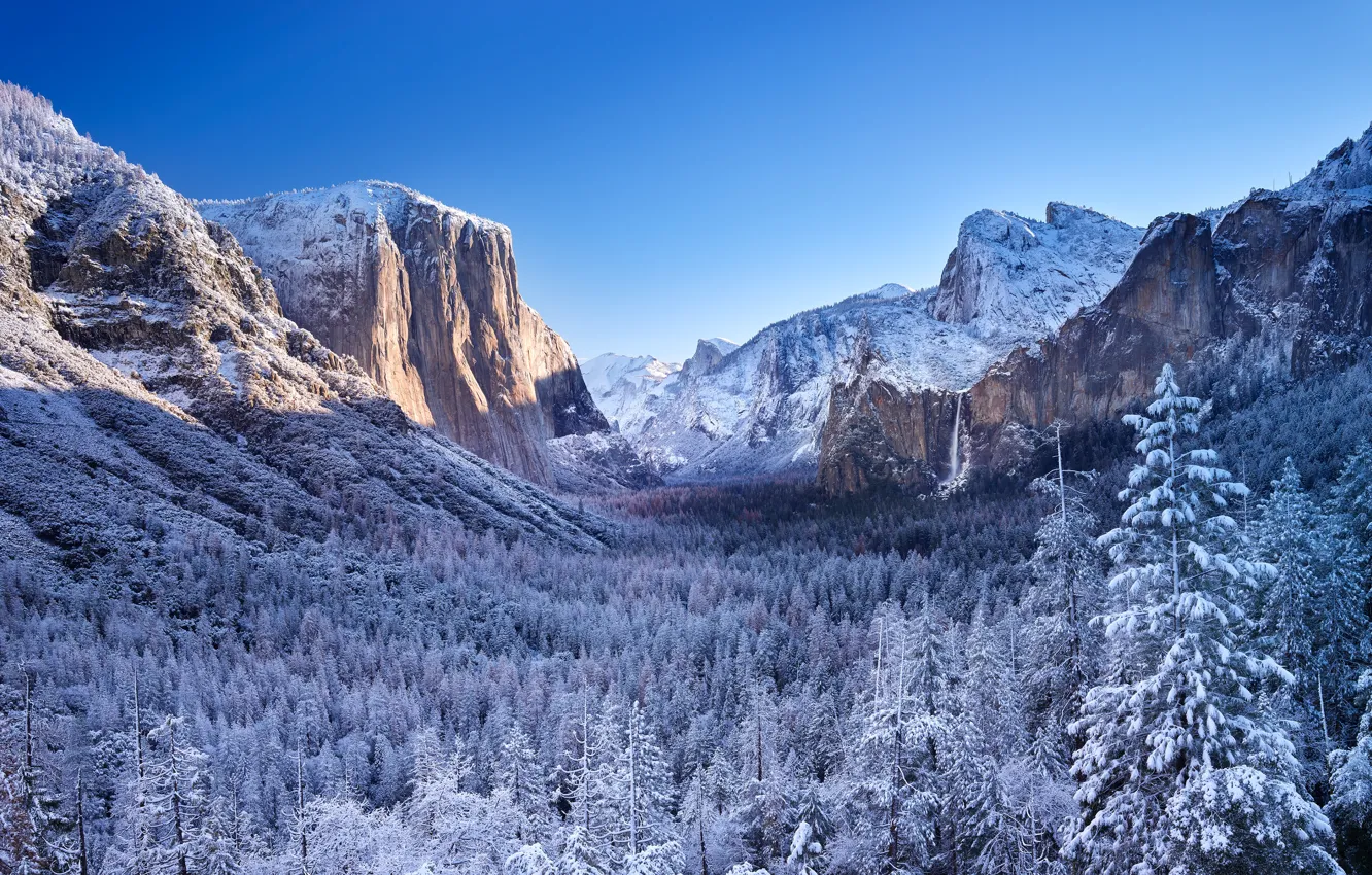 Photo wallpaper winter, forest, mountains, valley, CA, California, Yosemite Valley, Yosemite national Park