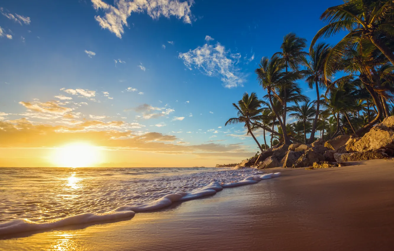 Photo wallpaper sea, wave, sunset, nature, tropics, palm trees, coast