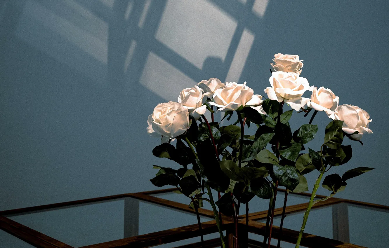 Photo wallpaper roses, white roses, grit