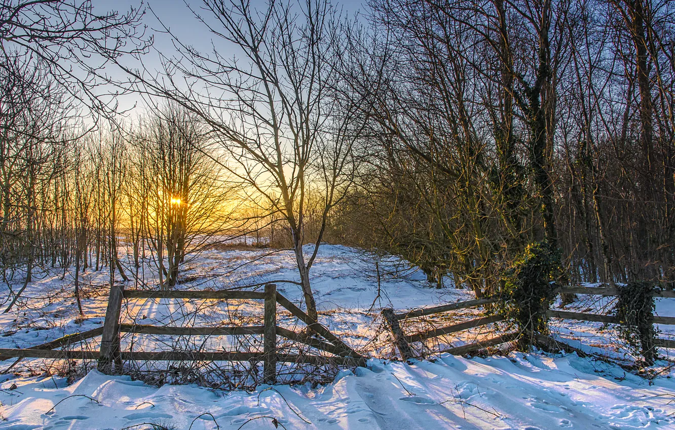 Photo wallpaper winter, the sun, snow, trees, sunset, the fence