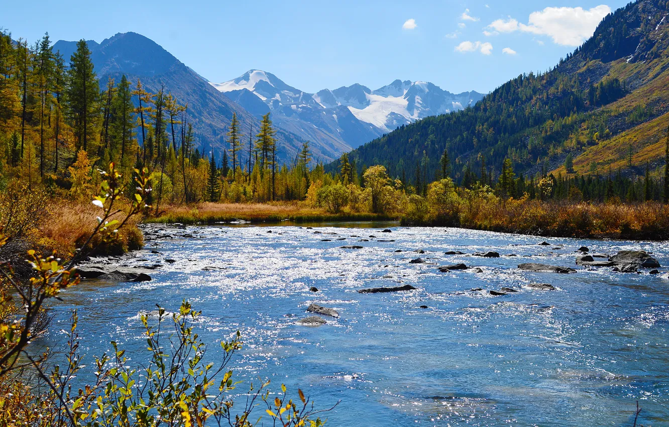 Photo wallpaper autumn, forest, the sky, grass, the sun, snow, landscape, mountains