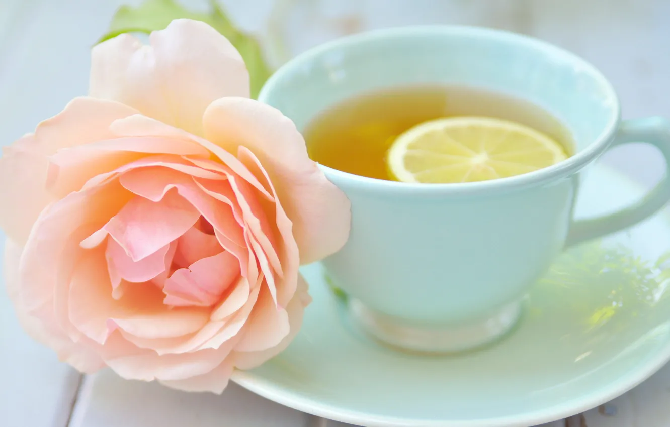 Photo wallpaper flowers, lemon, tea, roses, Cup, pink, saucer