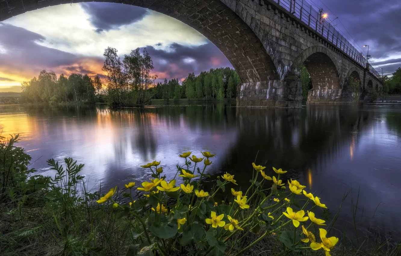 Photo wallpaper sunset, flowers, bridge, river, Norway, Norway, RINGERIKE, Ringerike