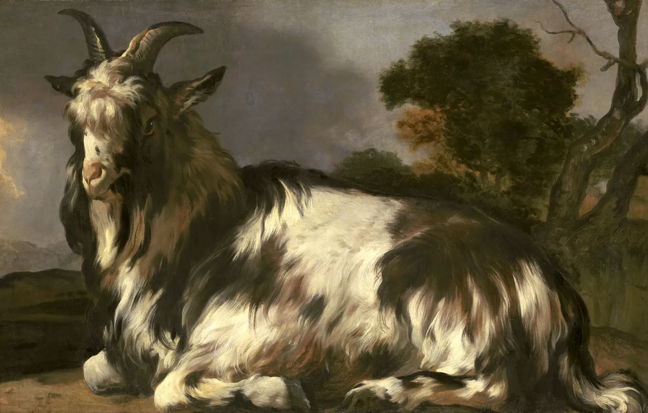 Photo wallpaper animals, oil, picture, canvas, Jan Baptist Venix, 1660, Jan Baptist Weenix, Lying goat