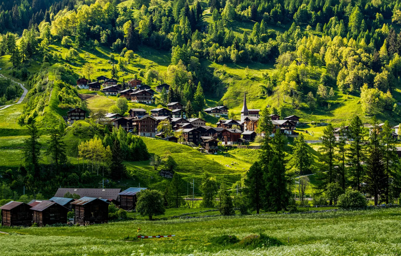 Photo wallpaper house, grass, forest, road, trees, field, landscape, nature