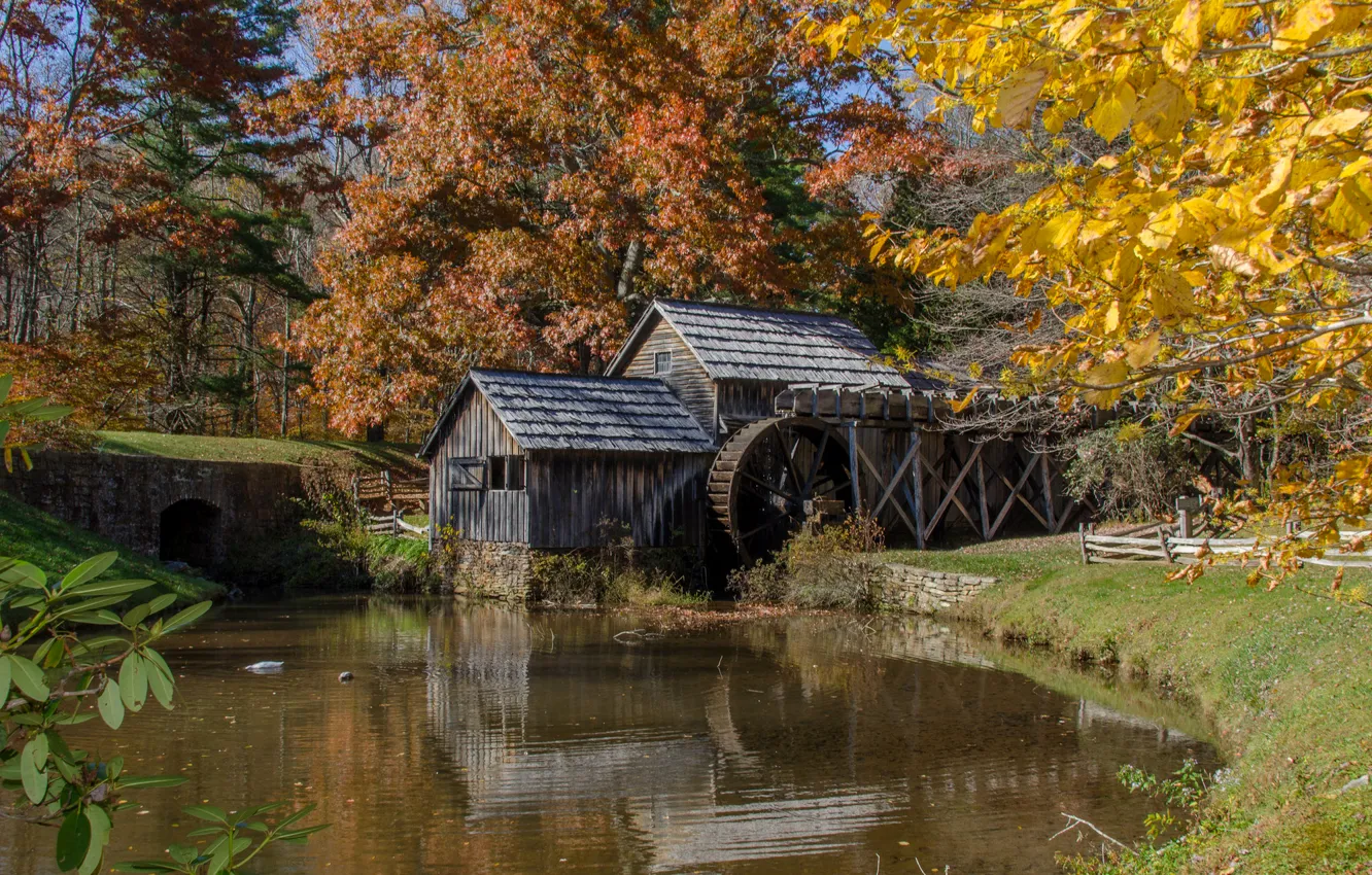 Photo wallpaper forest, trees, river, wheel, mill