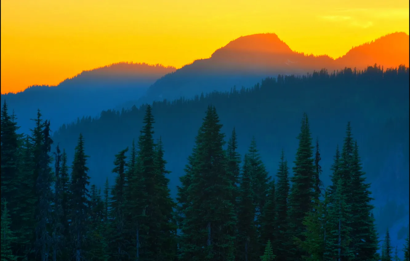Photo wallpaper spruce, Last Light, orange sunset, Mt Rainier, Washington State, Don Briggs, Blue Mountains