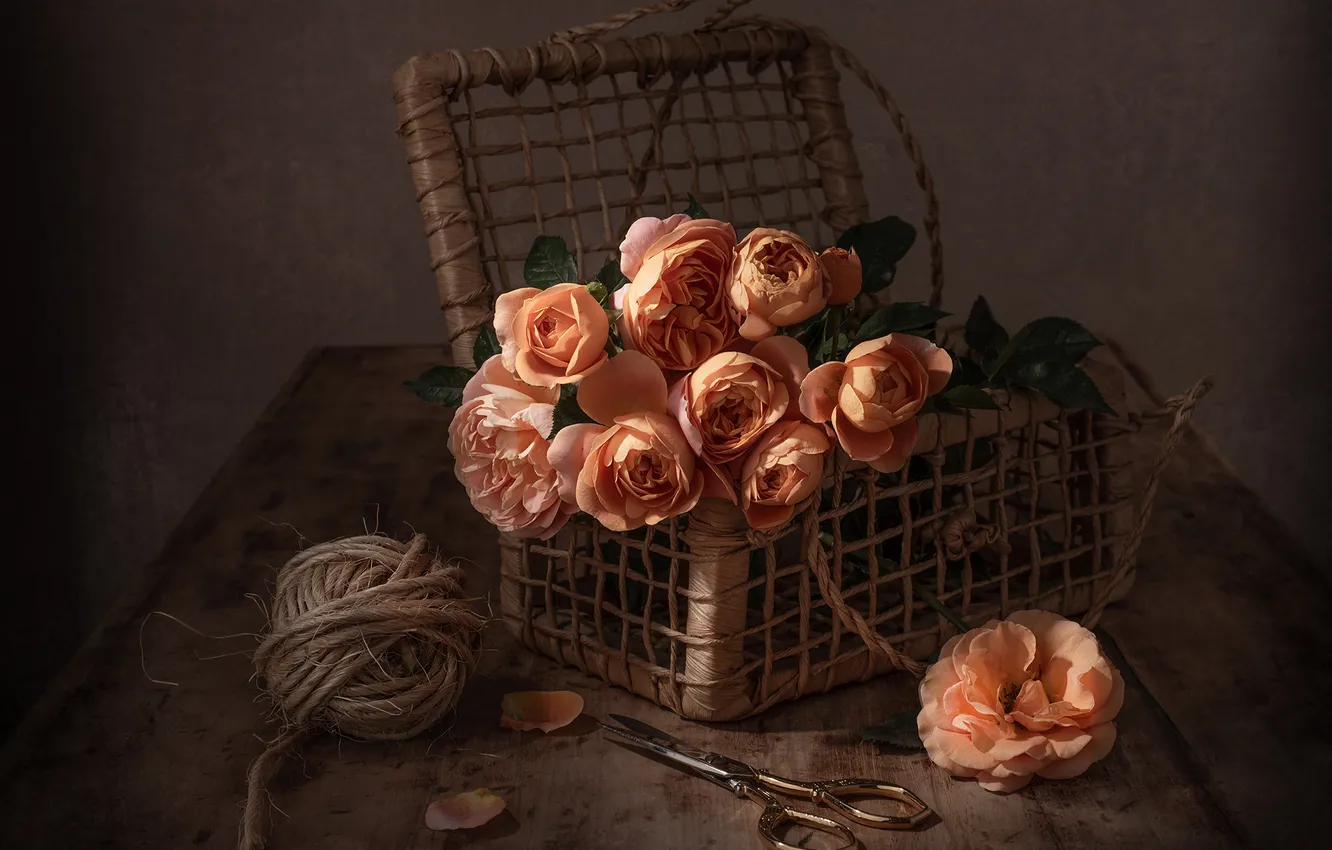 Photo wallpaper tangle, style, roses, basket, twine, scissors
