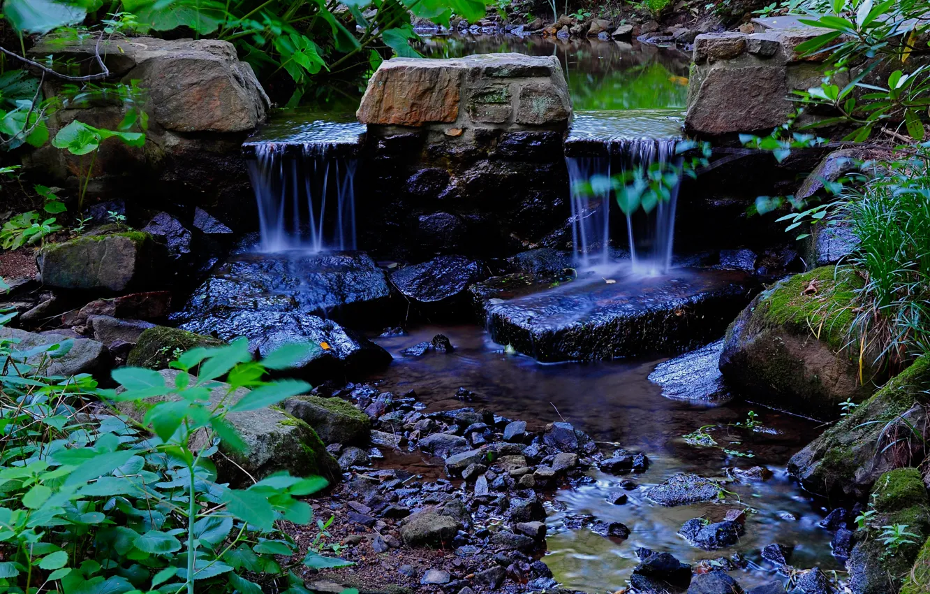 Photo wallpaper forest, leaves, stream, stones