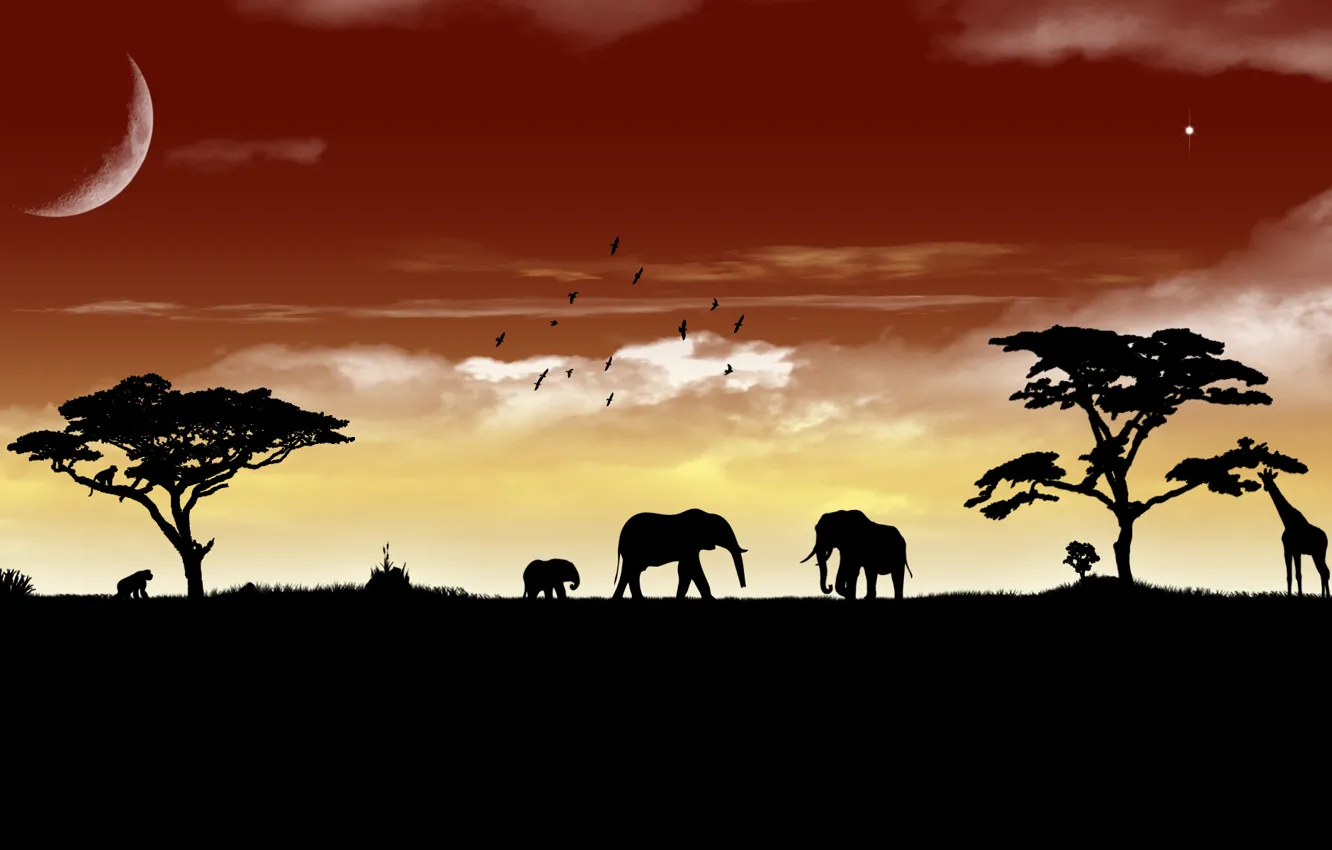 Photo wallpaper the sky, landscape, animal, elephant, Savannah, beast