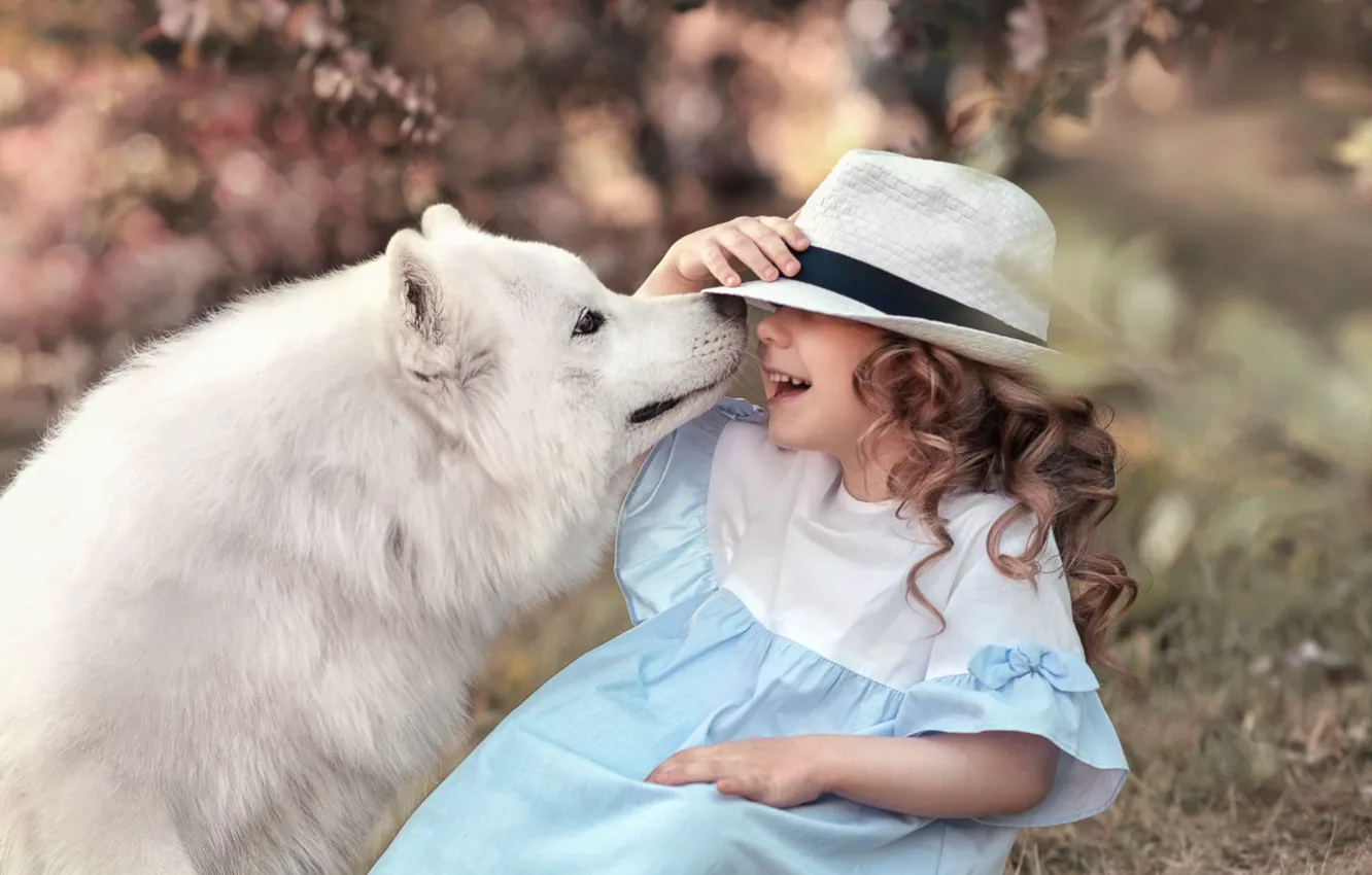 Photo wallpaper laughter, dog, hat, girl, Samoyed