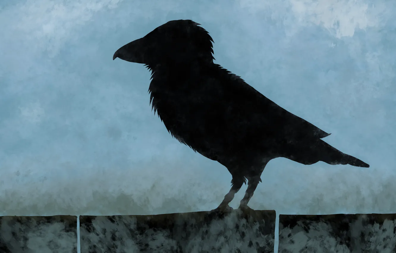 Photo wallpaper silhouette, Raven, black Raven