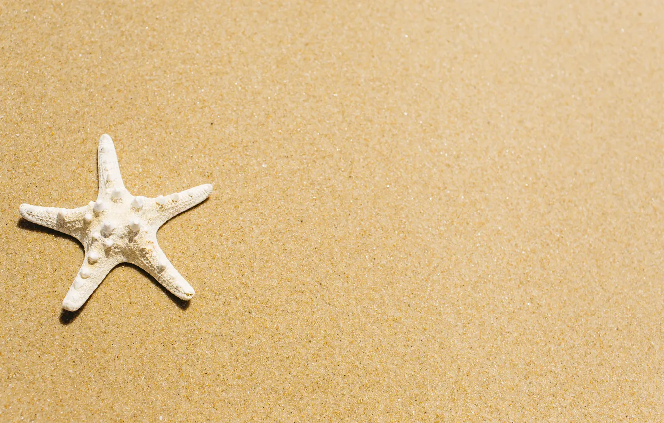 Photo wallpaper sand, sea, beach, stars, summer, beach, sea, sea