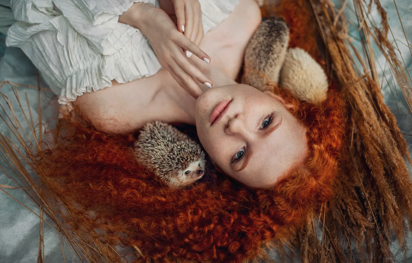 Photo wallpaper look, girl, animal, hands, dress, neckline, red, shoulders