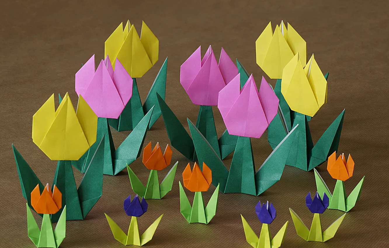 Photo wallpaper flowers, paper, background