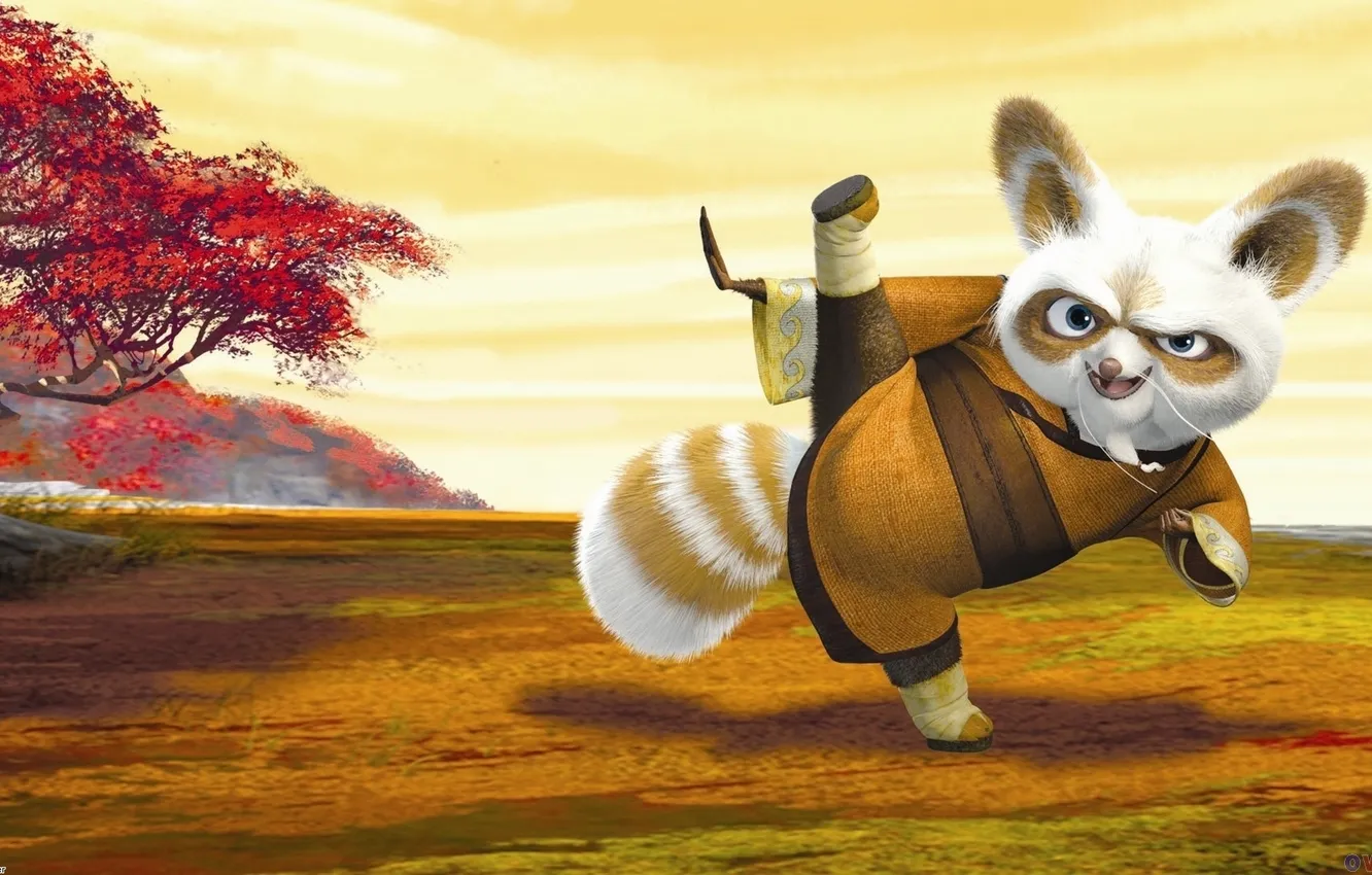 Photo wallpaper cartoon, Kung Fu Panda, Kung fu Panda, Master Shifu