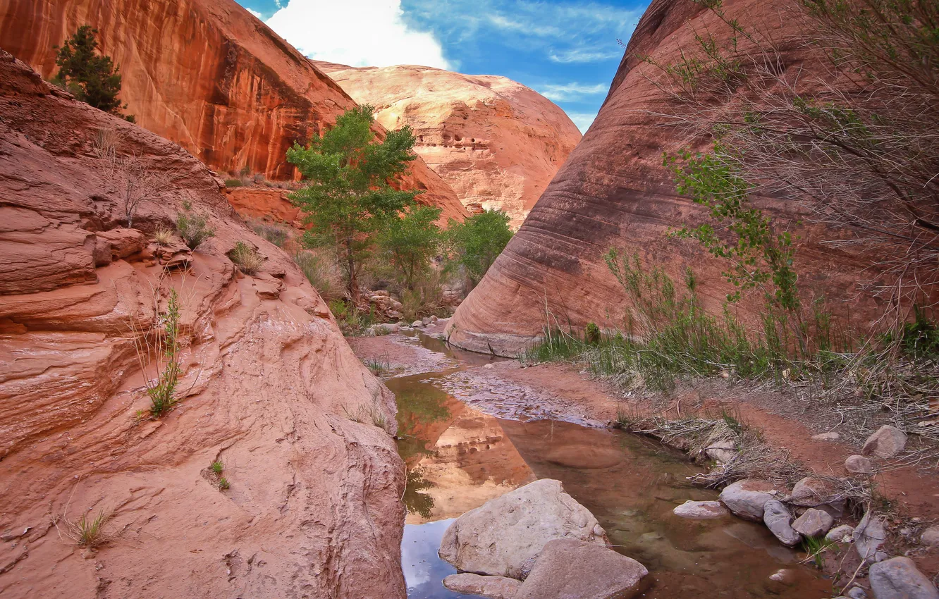 Photo wallpaper the sky, water, clouds, stones, tree, rocks, canyon, gorge