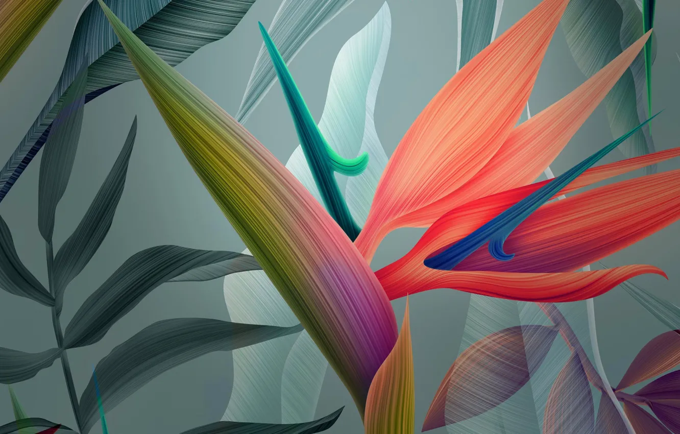 Photo wallpaper nature, abstraction, exotic