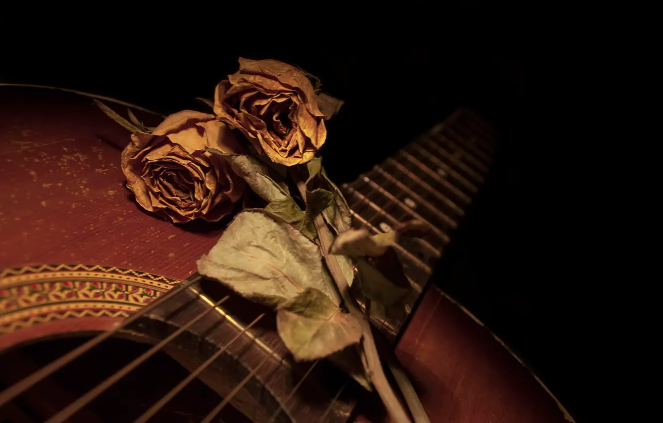 Photo wallpaper flowers, guitar, roses
