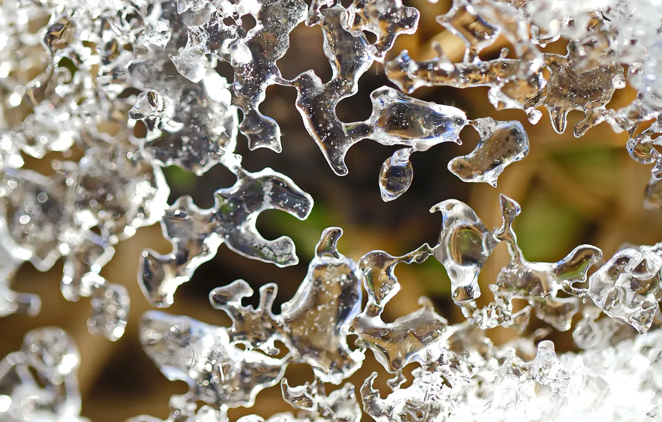 Photo wallpaper ice, macro, nature, spring