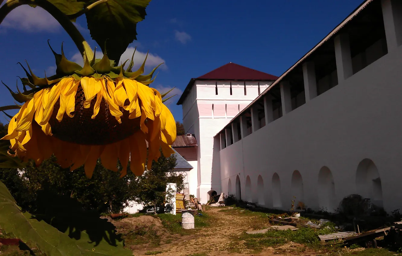 Photo wallpaper summer, sunflowers, wall, fortress, the monastery