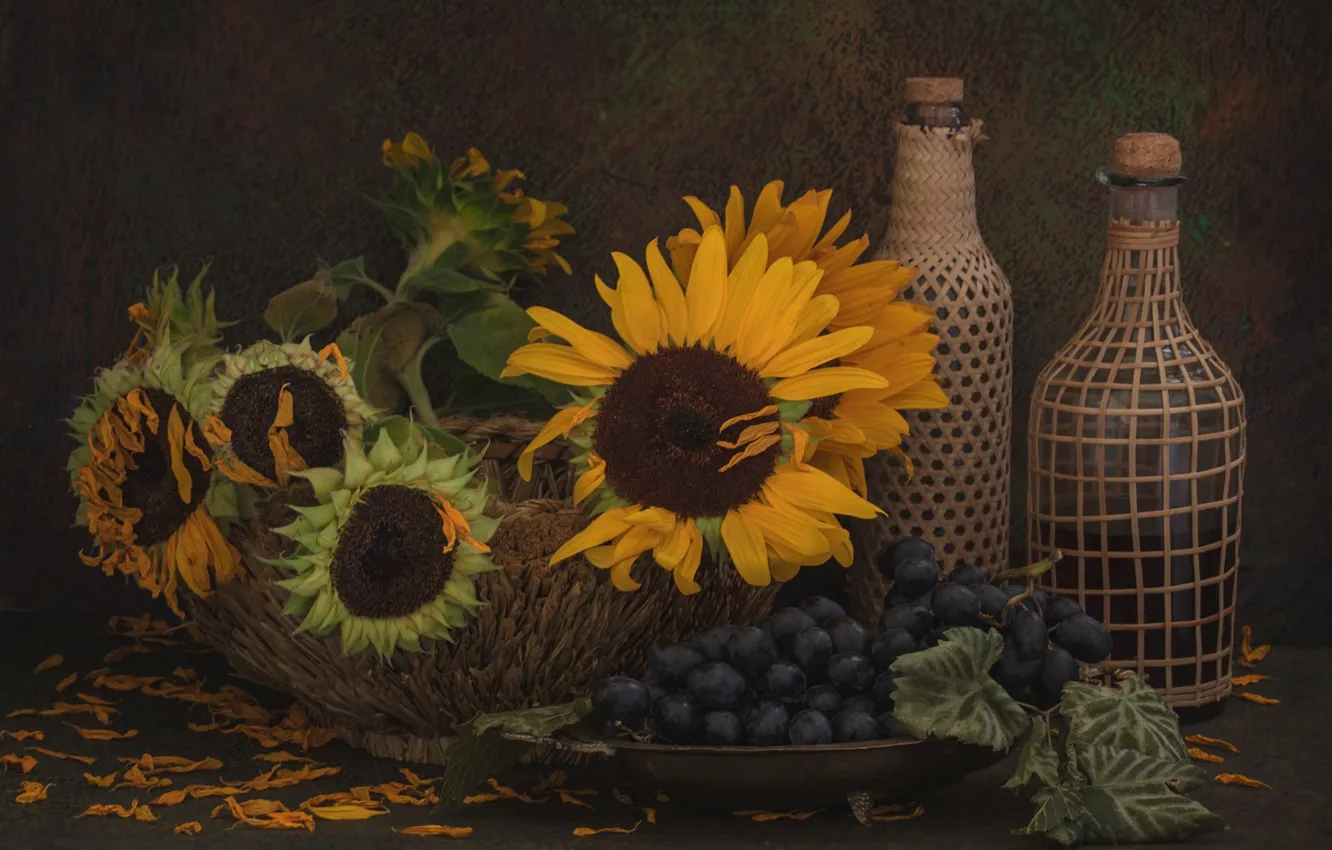 Photo wallpaper sunflowers, flowers, petals, grapes, bottle, still life, basket