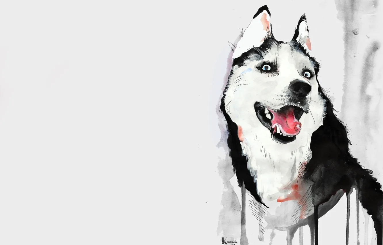 Photo wallpaper language, figure, dog, watercolor, husky, husky