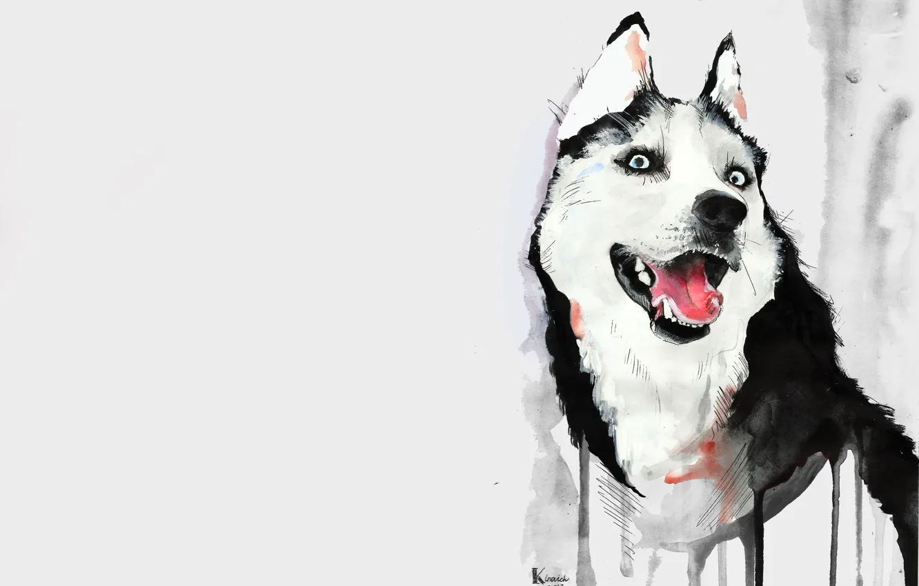 Photo wallpaper language, figure, dog, watercolor, husky