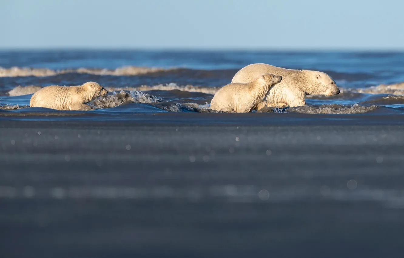 Photo wallpaper ice, winter, sea, wave, white, water, snow, nature