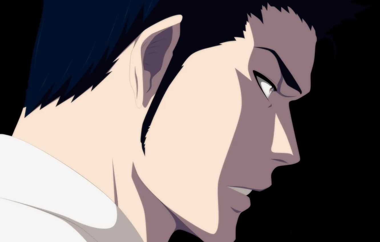 Photo wallpaper bleach, anime, Shinigami, Isshin Shiba, Isshin Kurosaki