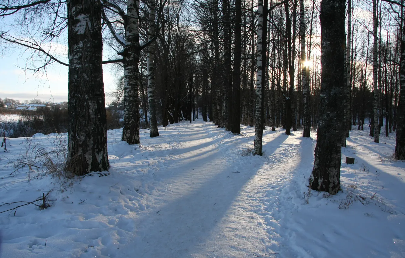 Photo wallpaper winter, road, forest, the sun, snow, landscape, nature, mood