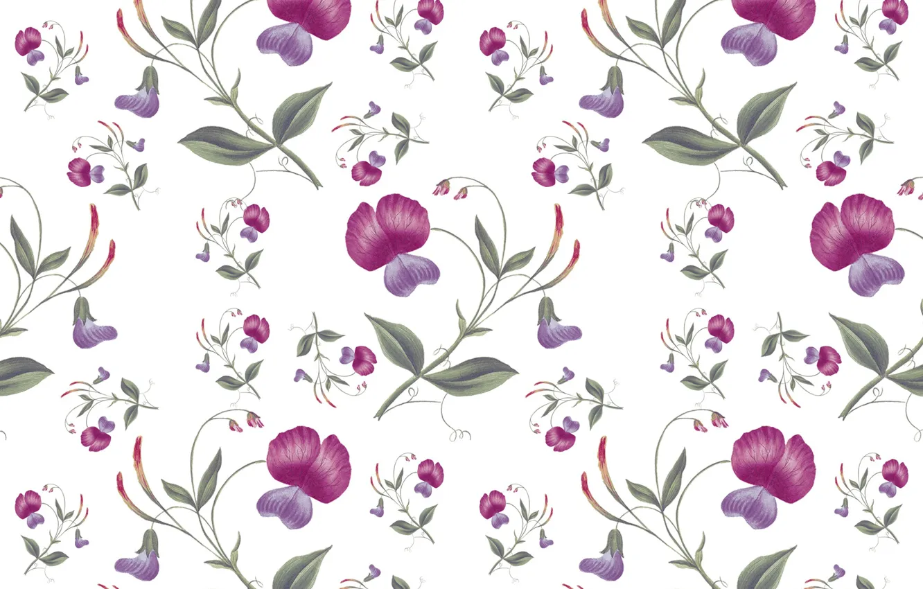 Photo wallpaper white, flowers, background, wallpaper, pattern, floral, seamless