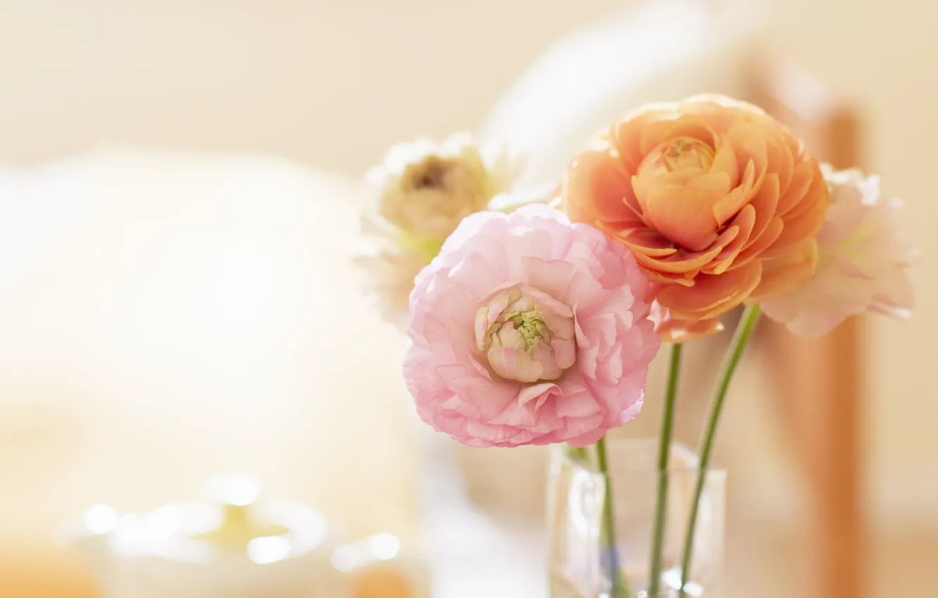 Photo wallpaper flowers, photo, mood, Wallpaper, tenderness, bouquet, spring, vase