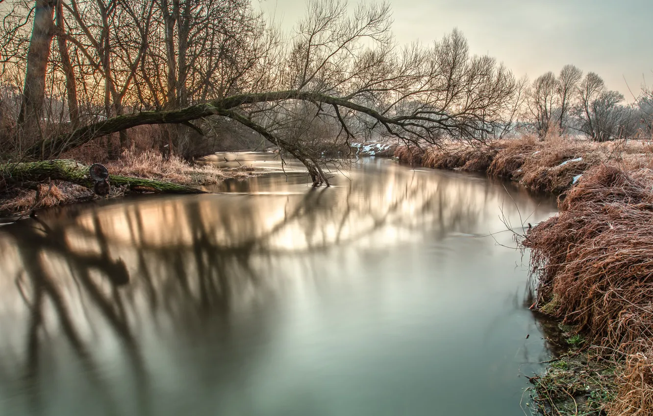 Photo wallpaper frost, snow, trees, river, morning