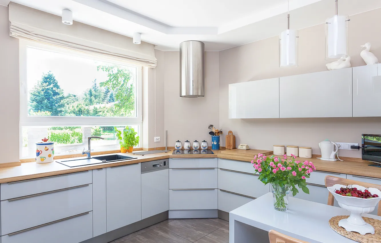 Photo wallpaper flowers, design, roses, window, kitchen, wardrobe