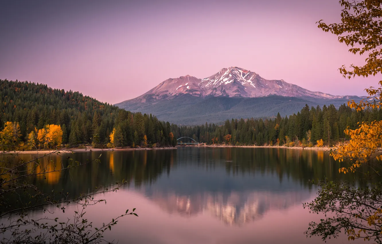 Photo wallpaper autumn, forest, mountains, branches, lake, reflection, CA, California