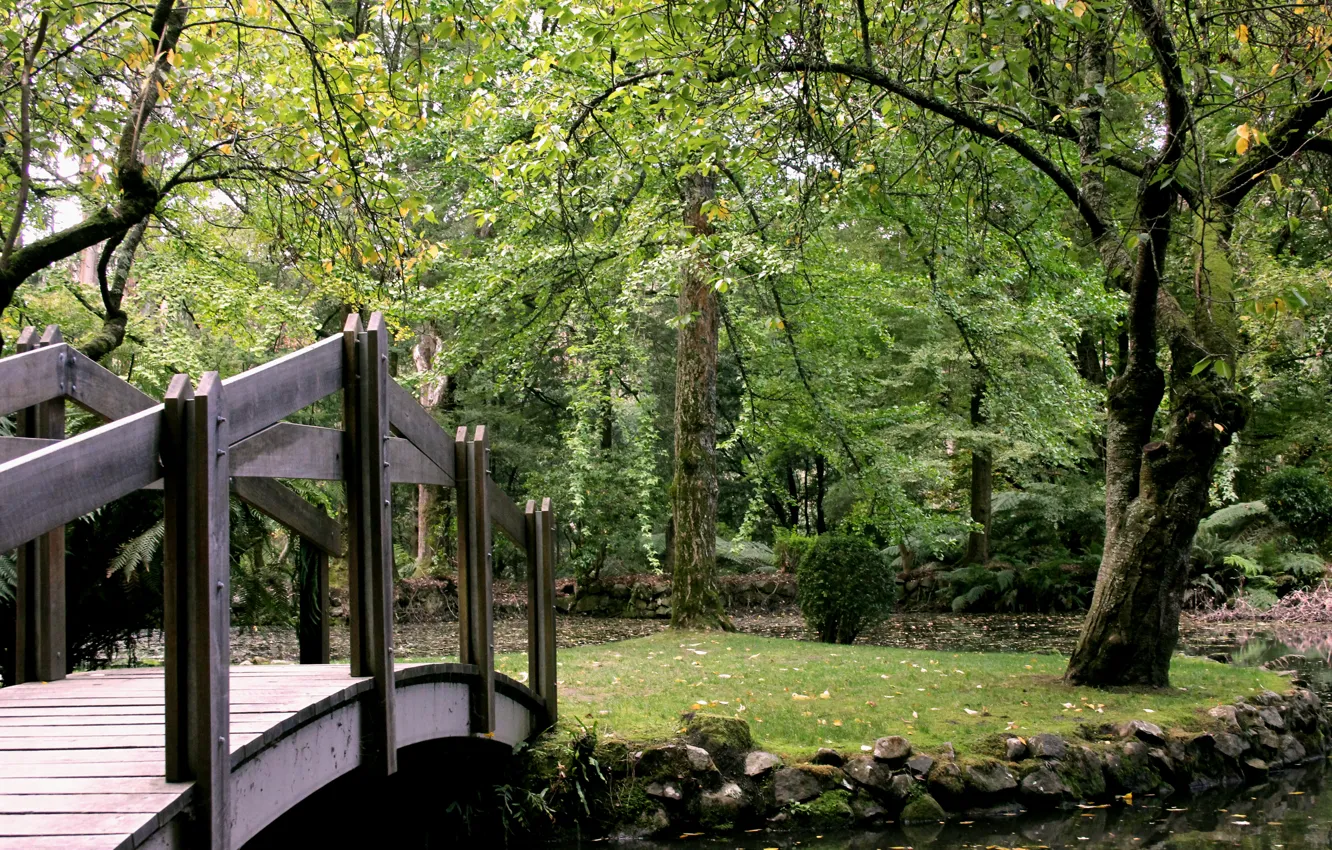 Photo wallpaper greens, green, Park, the bridge, bridge, park