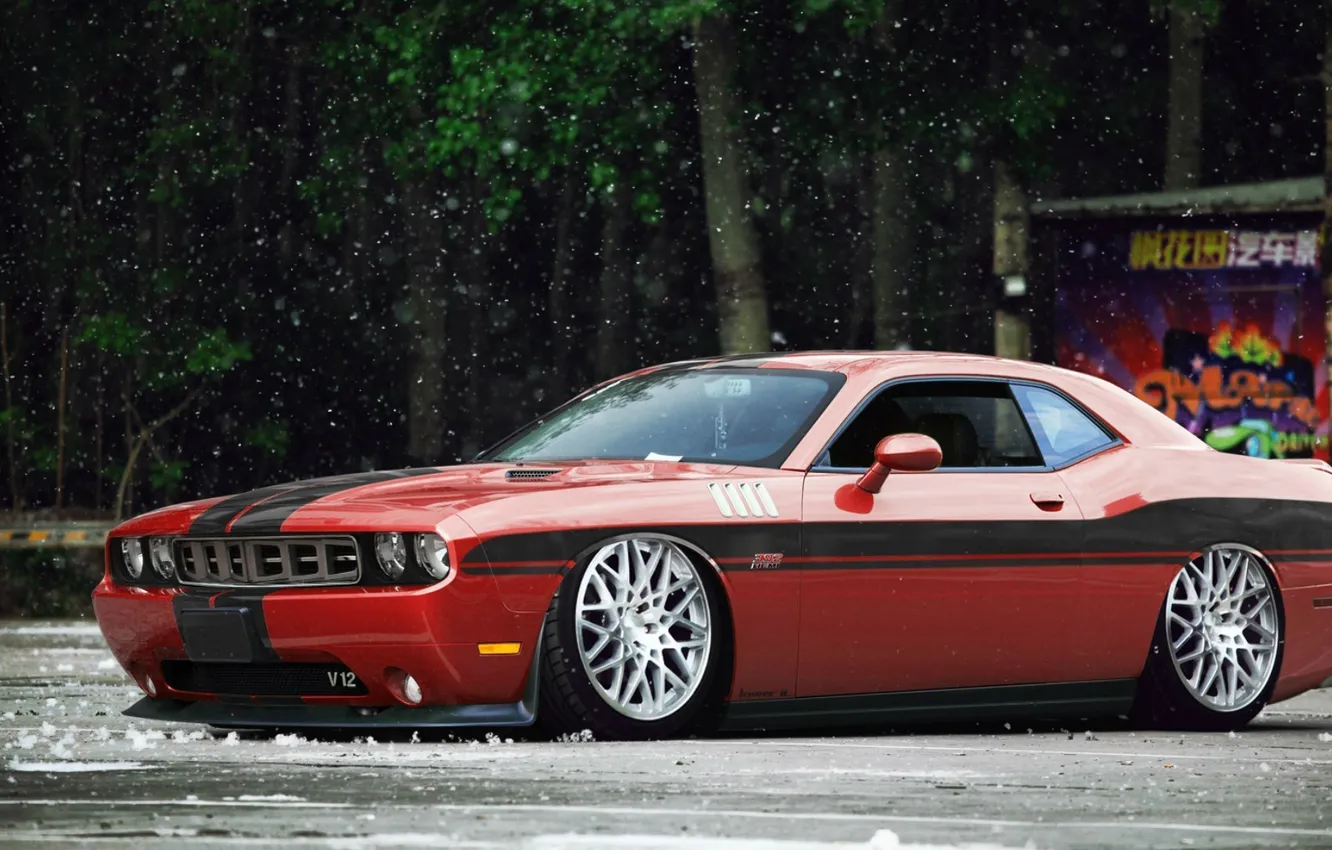Photo wallpaper machine, auto, forest, asphalt, rain, Dodge Challenger