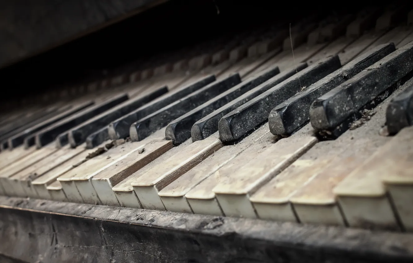 Photo wallpaper macro, music, piano