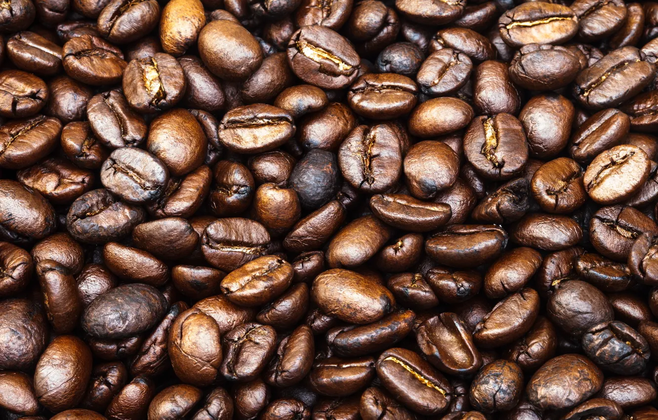 Photo wallpaper pattern, coffee, coffee beans, whole