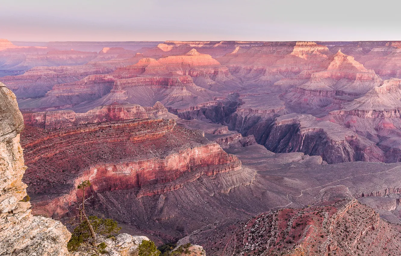 Photo wallpaper Desert, lookout, arid, the great canyon