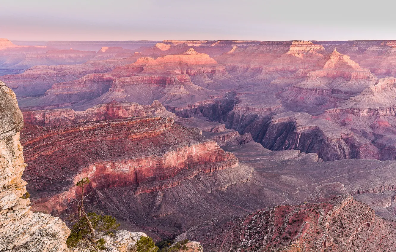 Photo wallpaper desert, The Great Canyon, arid, Lookout