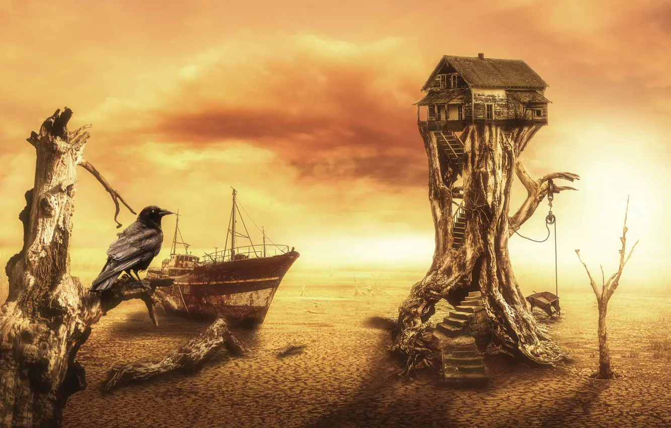 Photo wallpaper house, fantasy, desert, digital, crow, art