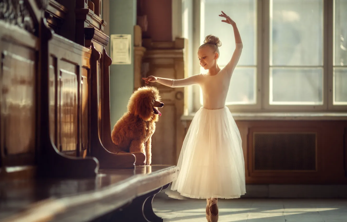 Photo wallpaper dance, dog, dress, girl, ballerina, poodle, Pointe shoes