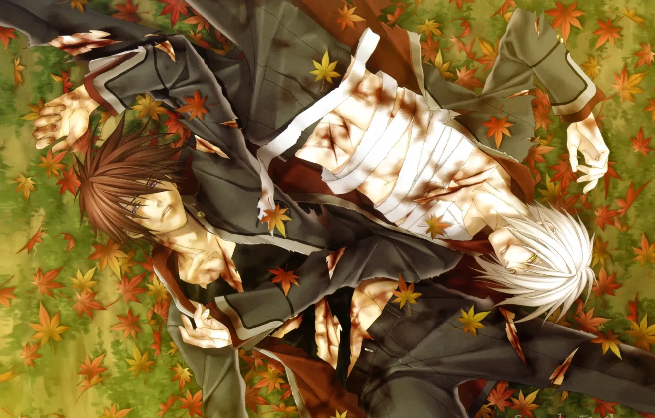 Photo wallpaper anime, art, guy, Hiiro no Kakera, Crimson shards