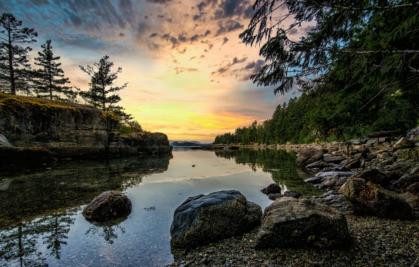 Photo wallpaper forest, river, rocks, morning, Canada