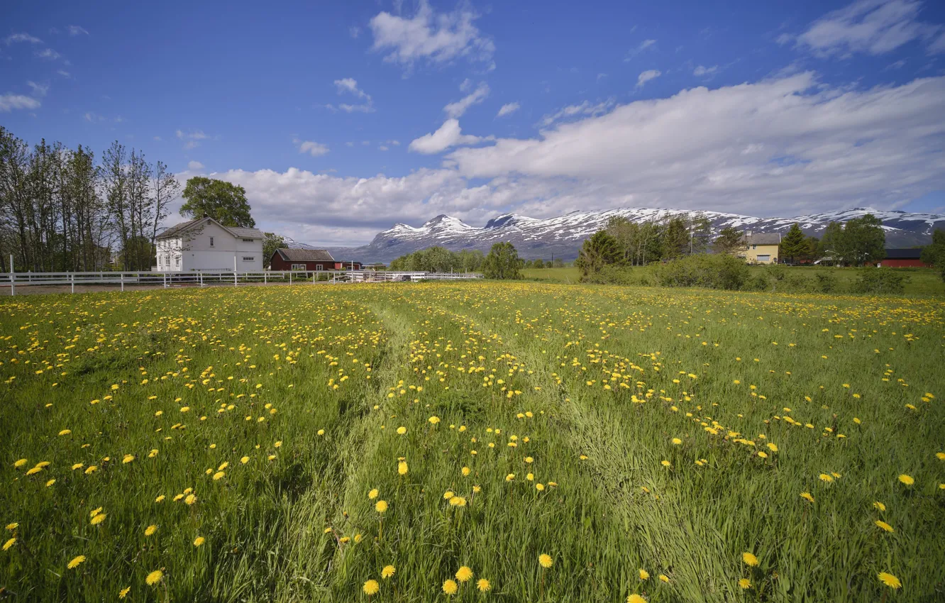 Photo wallpaper summer, the sky, clouds, mountains, meadow